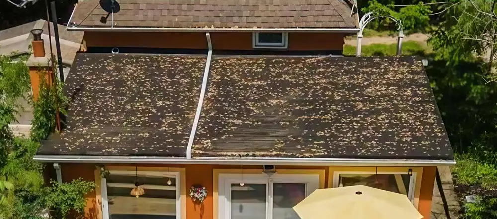 A roof completed on a Georgina property